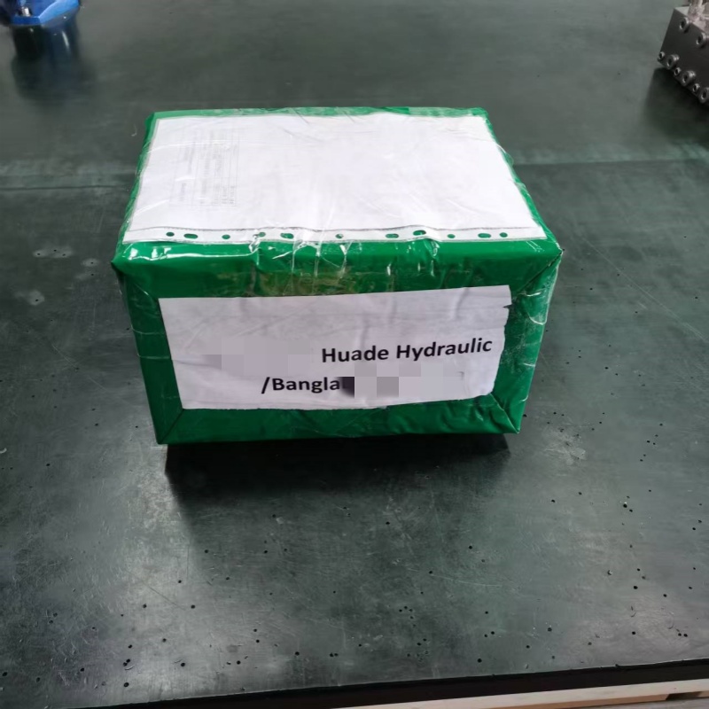 Huade norabide hidraulikoaren balbula 4Wa10J31B / CG24N9K4-k bidalketa pertsonalizatua osatu du gaur