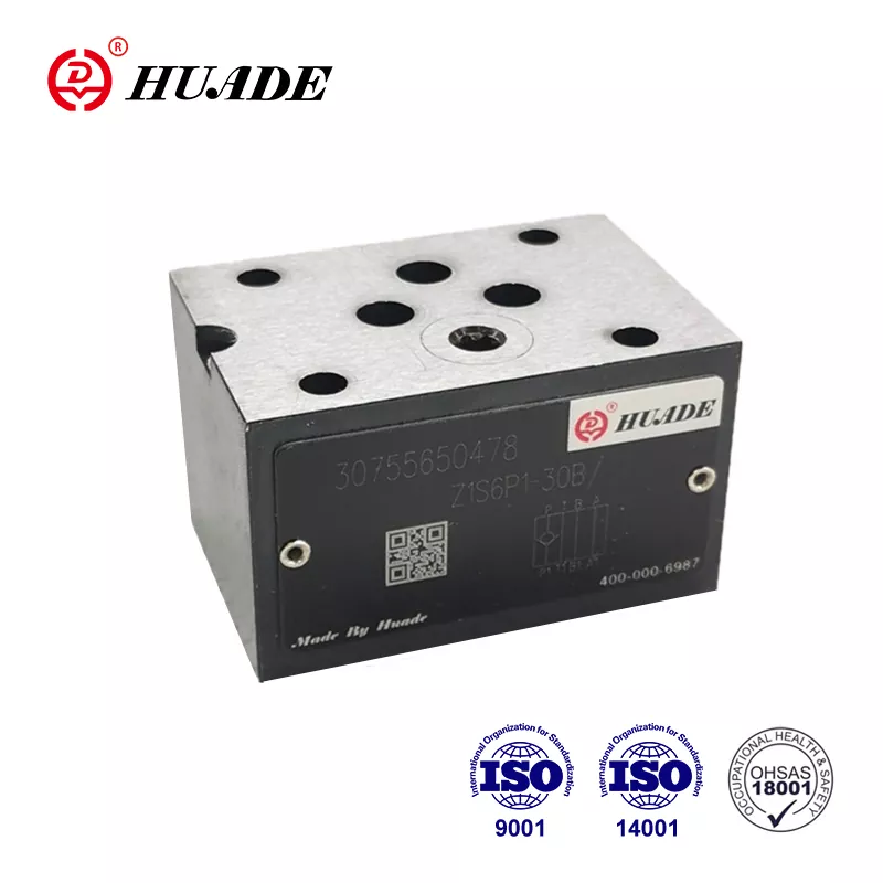 Z1S Check Valve Sandwich Platea: gida praktikoa